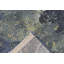 Choua Abstract Area Rug-338815490