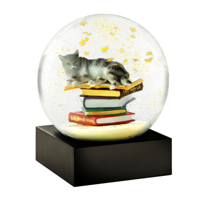 Cat On Books Snow Globe
