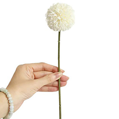 Allium Arrangement