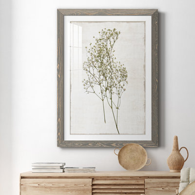 Farmhouse Pressed Flower I - peinture encadrée