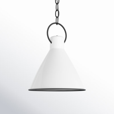 Dax Single Light Metal Dimmable Pendant