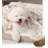 Dog Blankets