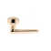 Alpine Lever 92 Single Dummy Set with Round Rose