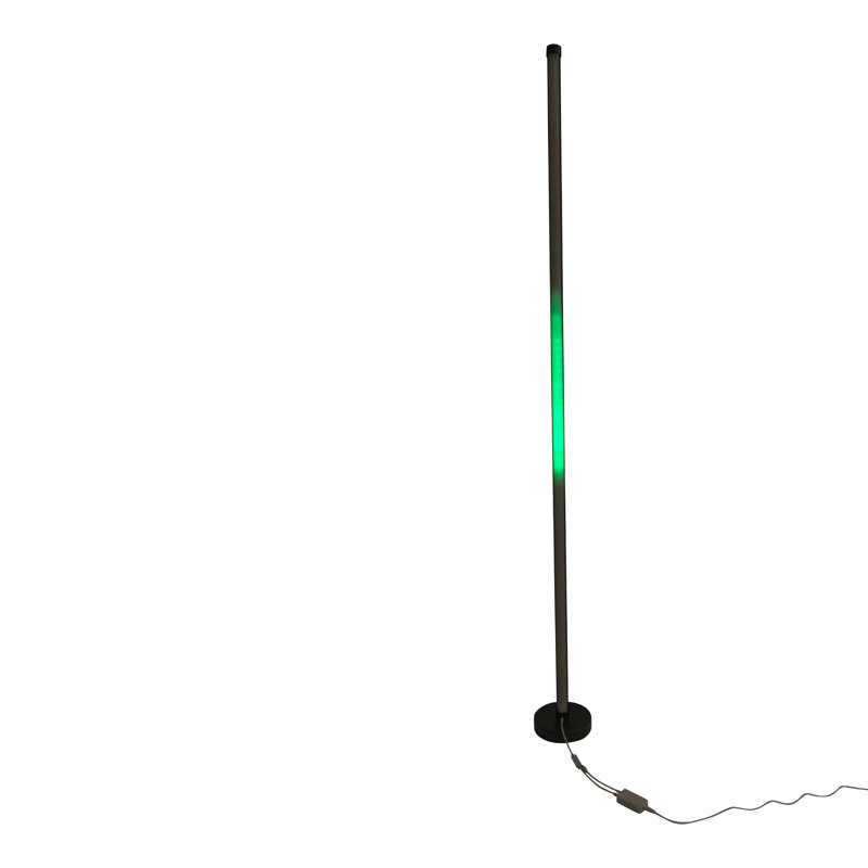 Casperson 150cm LED Novelty Floor Lamp