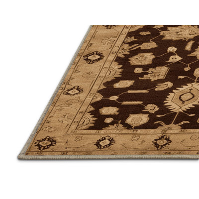 Machine Washable Overdyed Brown Area Rug