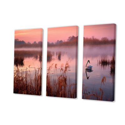 " Pink Swans At Sunset " 3 - Pieces