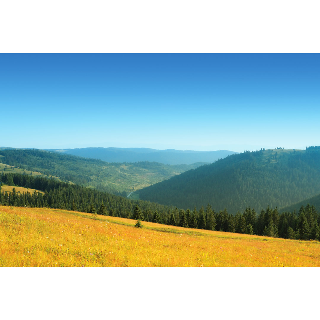 Schöne Berglandschaft von Mammuth - Druck