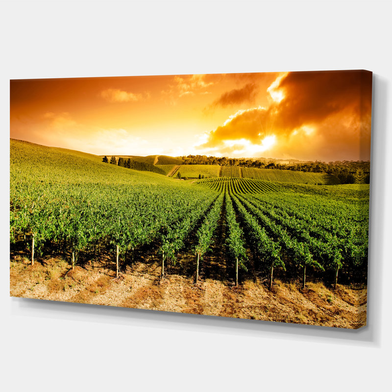 " Sunset Vineyard Panorama ", 16" H x 32" W x 1" D