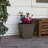Pot Planter-979810678