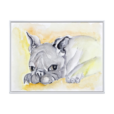 " Portrait Of A Resting Young Dog "