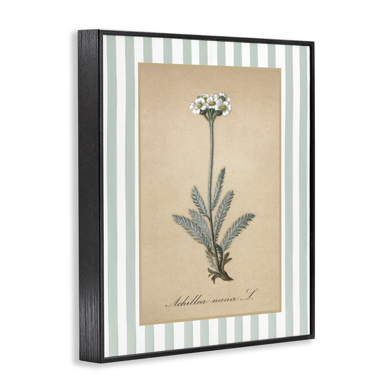 Giclée encadrée, par Wilded, Giclée encadrée noir minuit, H 30 po x l 24 po