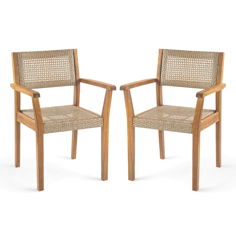 Chaise de salle à manger d'extérieur (ensemble de 2)