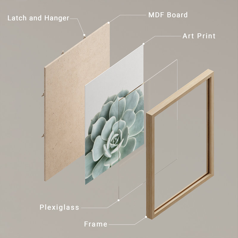 «Green Succulent Modern», reproduction d'art encadrée, affiches, salle de bain, petit art mural, Naturel / naturel