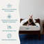 Matelas en mousse viscoélastique de 8 po Lucid SureCool ™-111448490-48409134