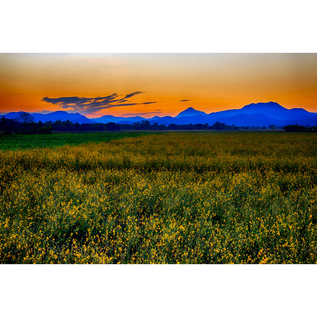 Goldener Himmel über Feldern von Vinitdeekhanu - Leinwandbild