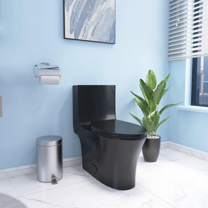 1-Piece 1.1/1.6 GPF Water-Efficient Dual-Flush Elongated Standard-Size Toilet With Soft Closing Seat, Matte Black
