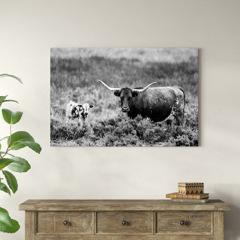 B&W Longhorn II, H 32 po x l 48 po x P 1,25 po