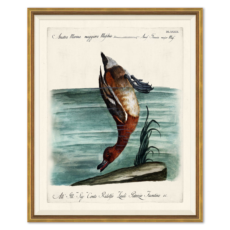 Odd Birds Giclee Print
