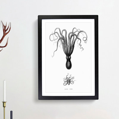 Vintage Octopus Illustration by E.F. Jomard - Picture Frame Drawing Print