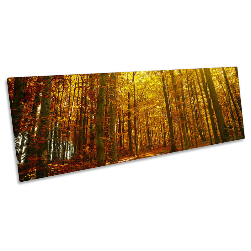 Forest Sunset Sunlight Trees - Wrapped Canvas Panoramic Print, 30.48cm H x 91.44cm W