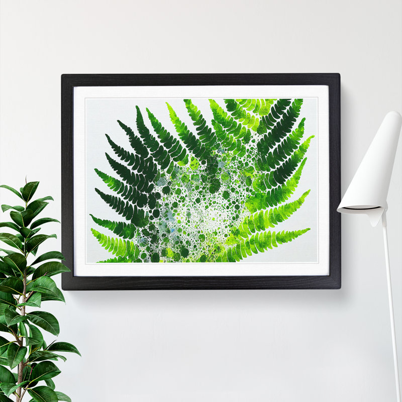 Fern Leaf Splash Vol.2 - Framed Print, 46cm H x 64cm W x 2cm D, Black