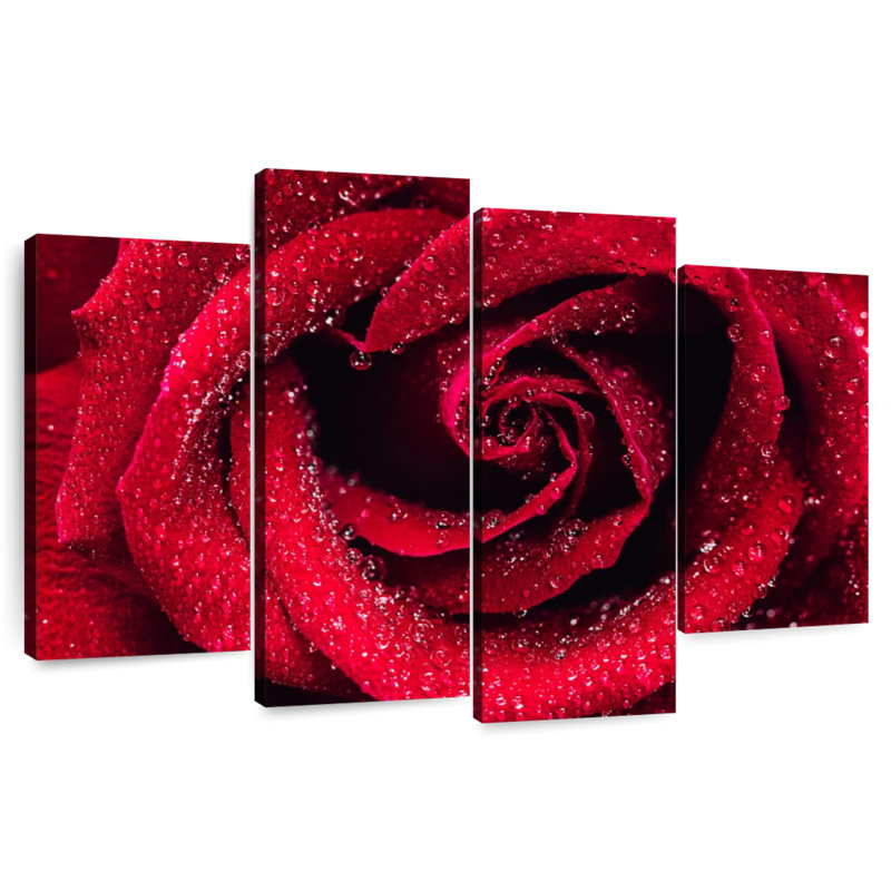 Gouttelettes Harnek sur rose rouge, H 22 po x l 36 po