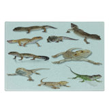 Ambesonne Animal Print Tempered Glass Cutting Board Prehistoric Reptile Multicolor