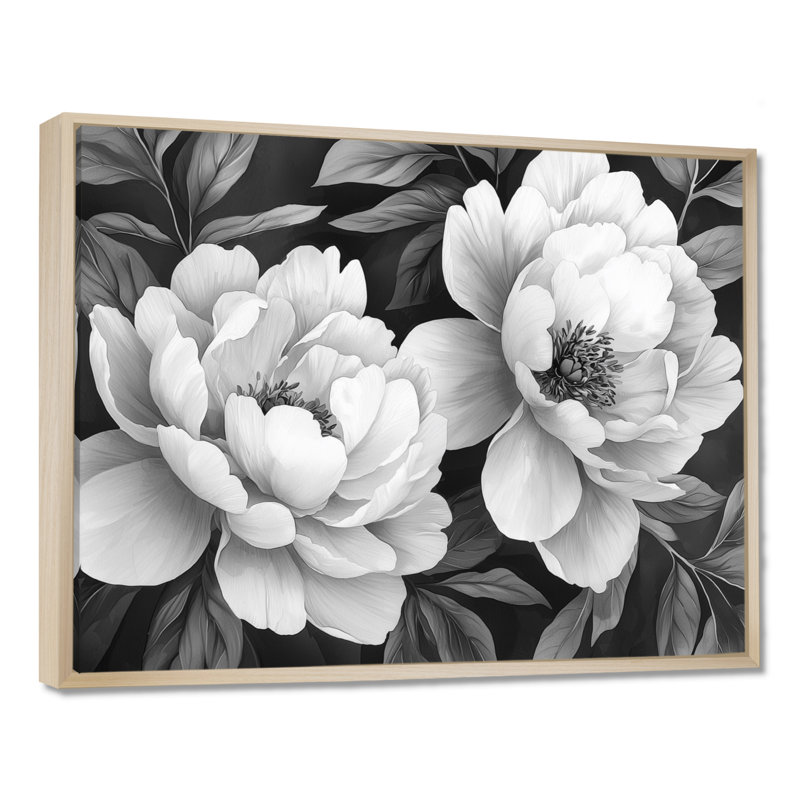 Illias pivoines en gris classique I - pivoines, art mural, H 30 po x l 40 po, Impression encadrée flottante, Blanc