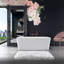 Vibe 58'' L Freestanding Soaking Bathtub