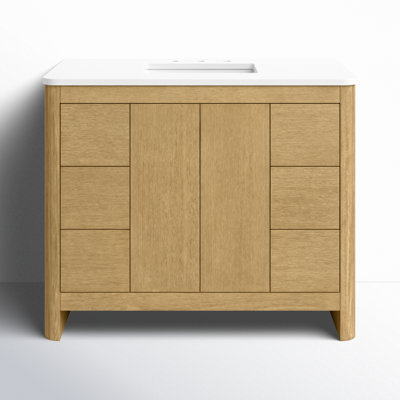 Raye 42'' Single Bathroom Vanity