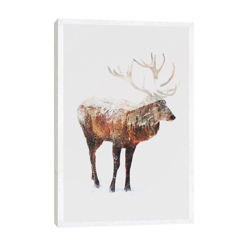 Deer V by Andreas Lie - Print on Canvas, 66.04 cm H x 45.72 cm W, White Floater Framed