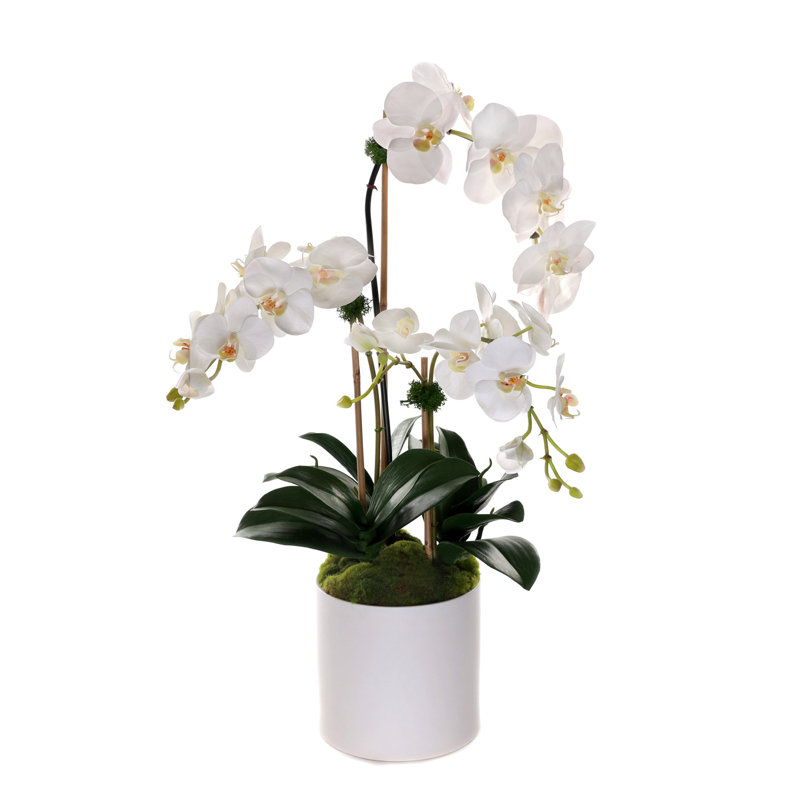 Elegant White Faux Orchid Arrangement in Ceramic Pot