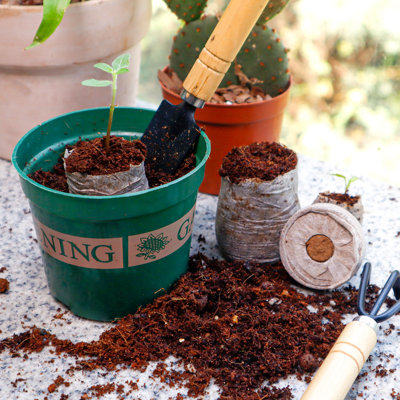 50Pcs 35mm Compressed Peat Pellets
