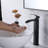 Single-Hole and Mounting / Installation Required Single Bathroom Faucet