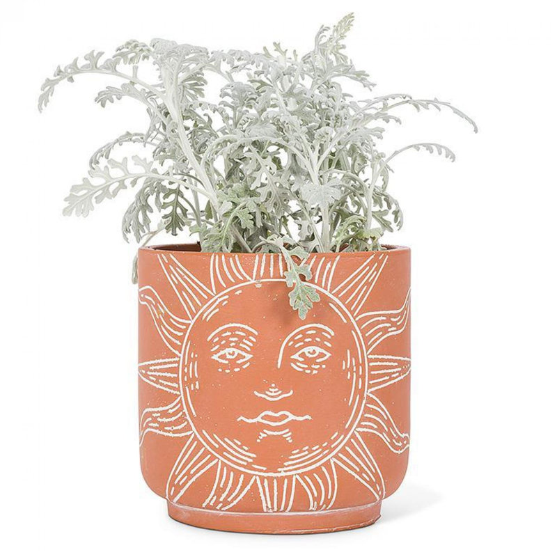 Coleg Sun Face Planter
