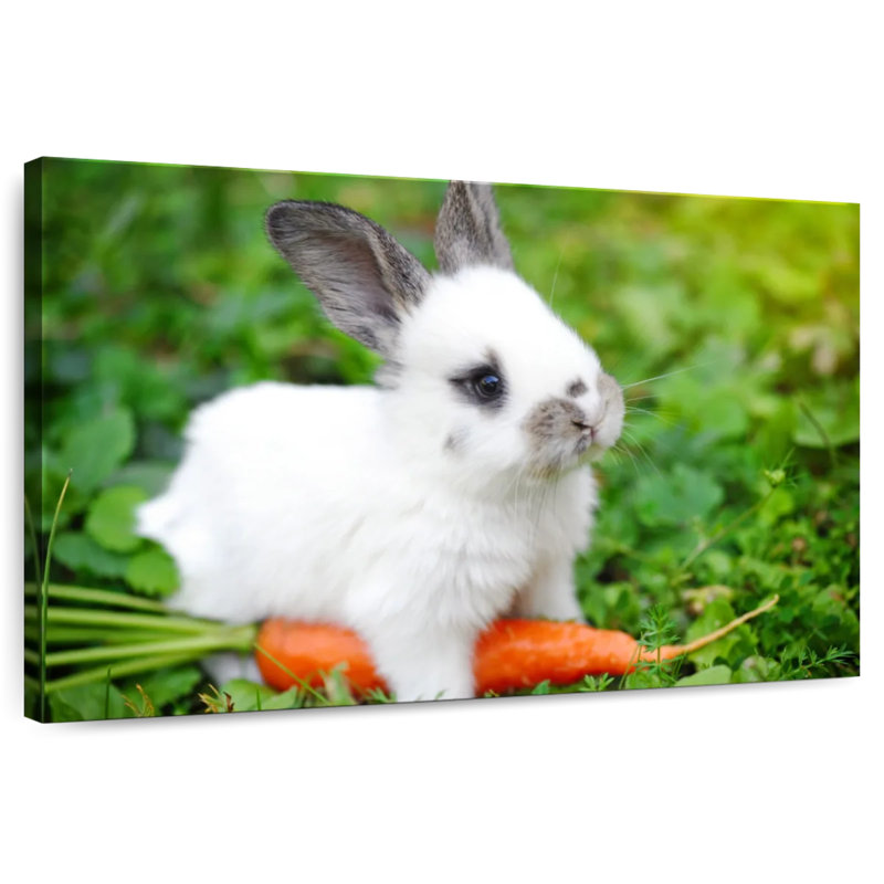 Bunny Eating Carrot, 24" H x 36" W