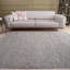 Myshaggy Collection Rugs Solid Design in Grey-878221039