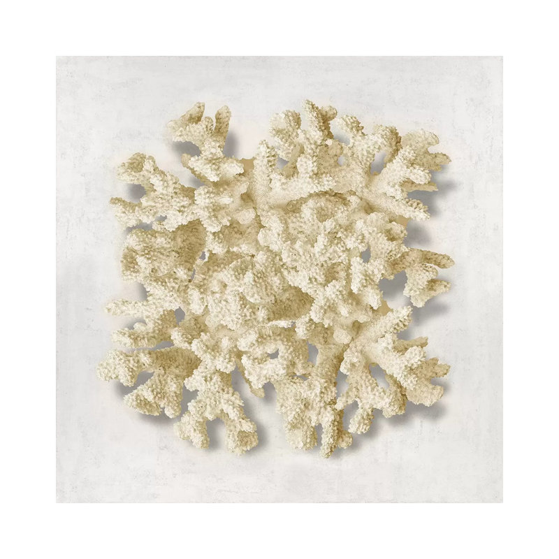 Coral Cream II by Caroline Kelly - Wrapped Canvas Print, 30.48cm H x 30.48cm W x 1.905cm D