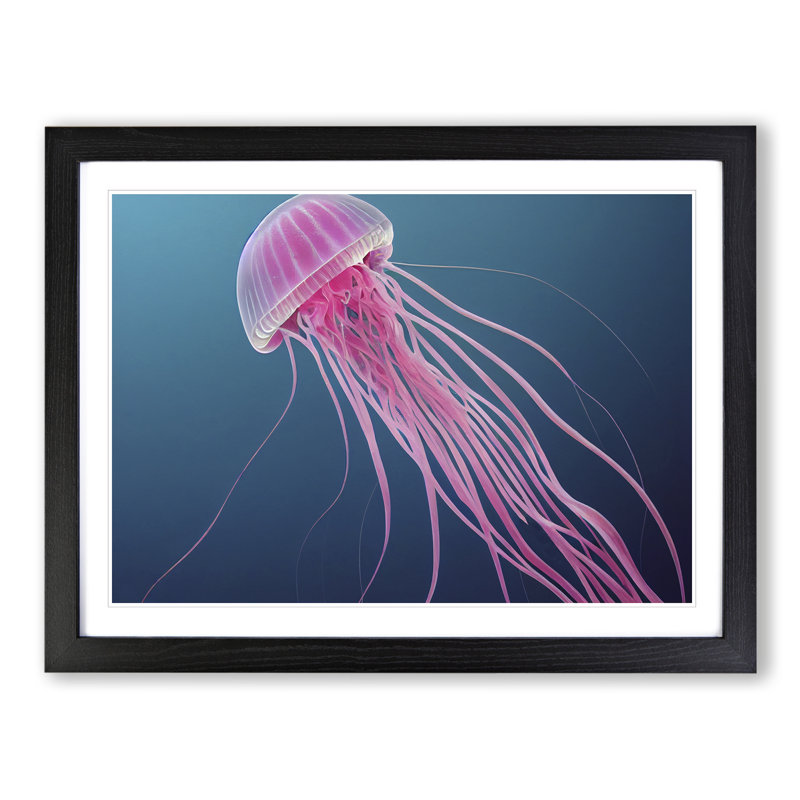 Jellyfish - Single Picture Frame Print, Black, 46cm H x 64cm W x 2cm D