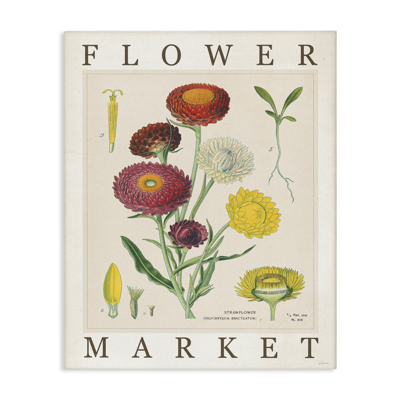 Art mural sur toile, "Flower Market", par Sue Schlabach, H 30 po x l 24 po