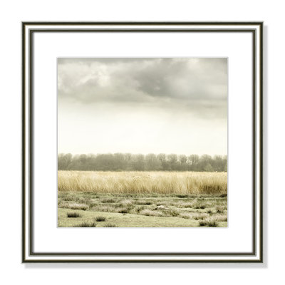 Henri "Meadowland" Print by Danita Delimont