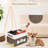 Foldable Dog Toy Box, Fabric Dog Toy Bin, Folding Organizer Home Décor Bin With Handle, Collapsible Toy Box Organizer For Pet Leash, Blanket, Chew Toys And Accessories-565053302