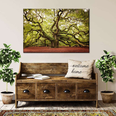 " Charleston Angel Oak Tree Canvas Print " Print