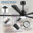 Raguel 52" 5-Blade Downrod Ceiling Fan with LED Light and Remote Control-788904124
