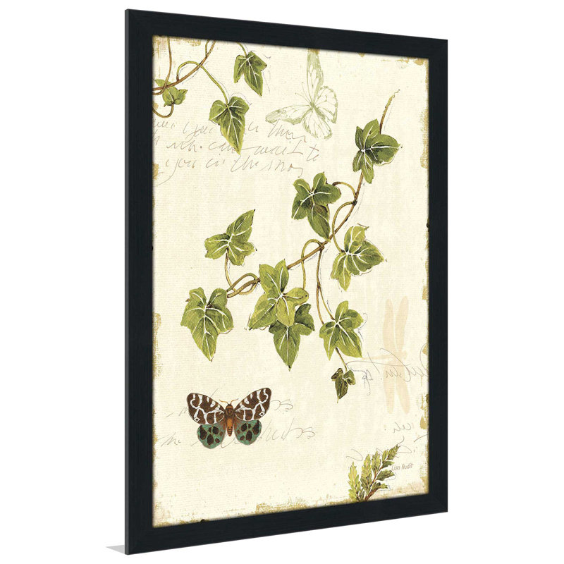Ivies and Ferns II - Peinture, L 27,5 po x H 39,5 po, Cadre noir