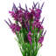 Plastic, Silk Artificial Arrangement