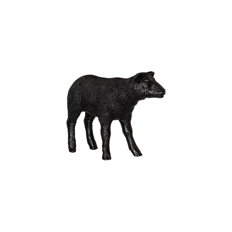 Texelaar Sheep, Lamb, Gel Coat Black