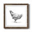 «Barn Fowl II», ensemble de 1 reproductions de photos encadrées sur toile-62719036-62719037