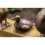 Animals Waterproof Plastic Garden Statue