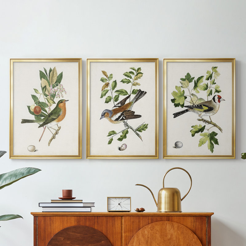 Antique Bird, Botanical & Egg I  -Custom Framed  Wrapped Gallery Canvas - 3 Pieces